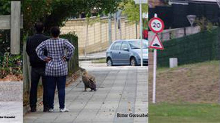 Sai arre bat erreskatatu dute Tabira auzoan