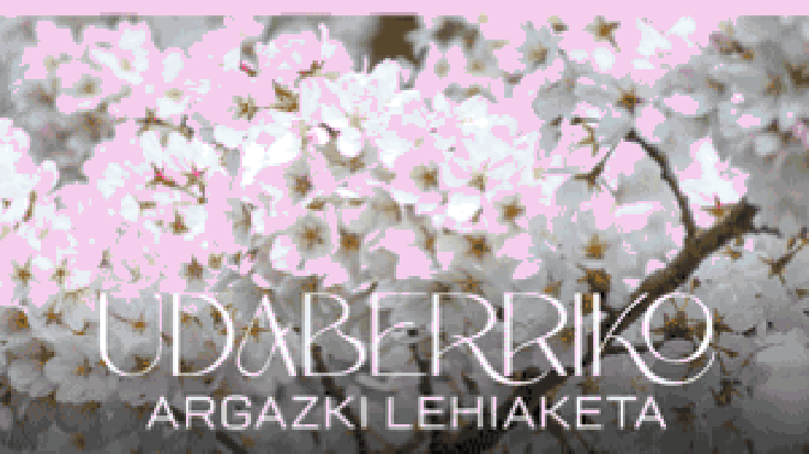 Udaberriko Argazki Lehiaketa