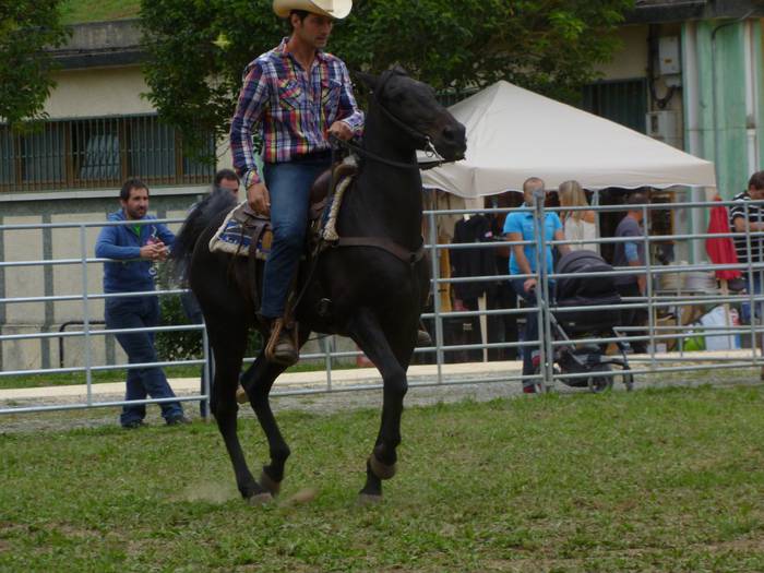 Cowboy (Zaldibar)