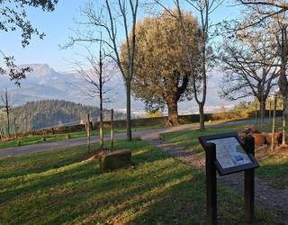 Garaiko Udalak haritzak birlandatu ditu Momoitioko San Juanen