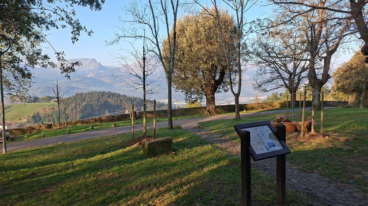 Garaiko Udalak haritzak birlandatu ditu Momoitioko San Juanen