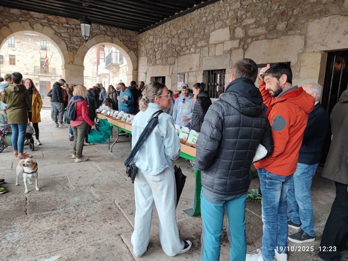 Perretxiko Eguna eta Galeuskal Jaia ospatuko dituzte Otxandion