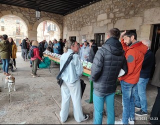 Perretxiko Eguna eta Galeuskal Jaia ospatuko dituzte Otxandion