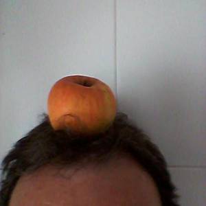 tolopordo