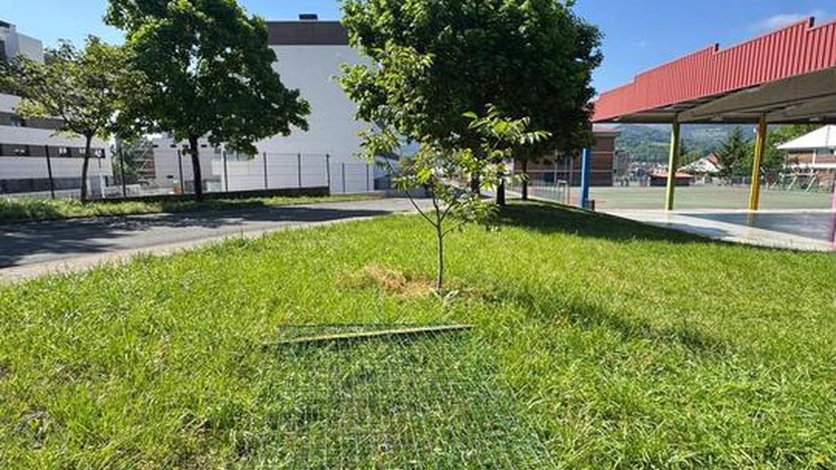 [ARGAZKI GALERIA]: Maiztegiko zuzendaritzak sabotaje eta bandalismo ekintzak salatu ditu