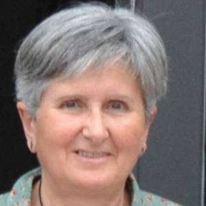 Erabiltzailearen aurpegia