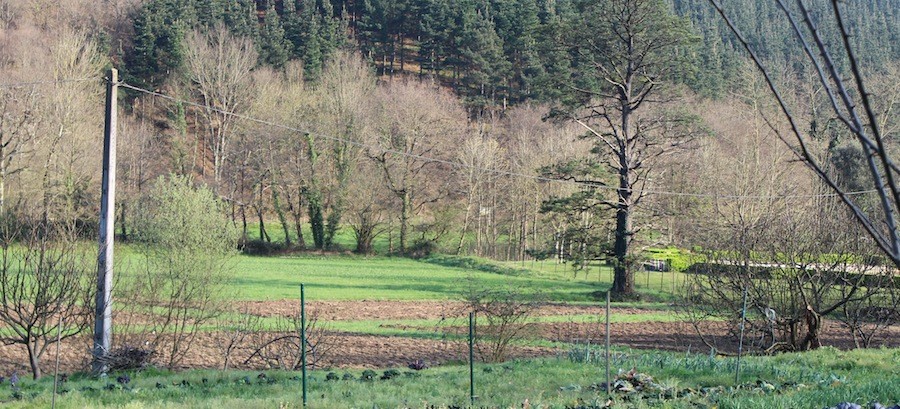 Auzolanaren bidez herri ortuak atonduko dituzte Atxondon 