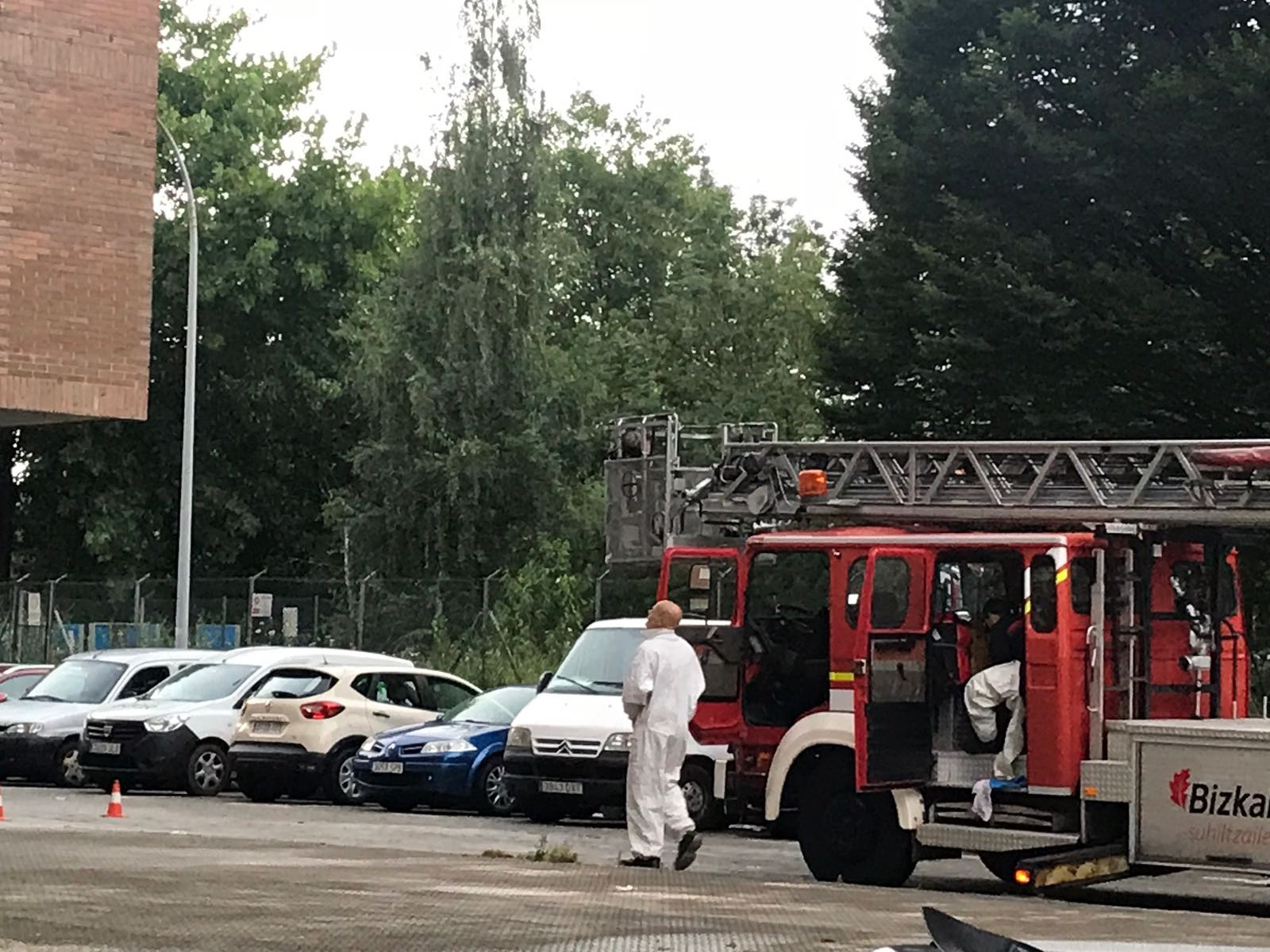 Bertako liztorraren erlauntz bat kendu dute Traña-Matienan