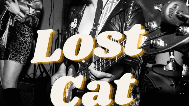 Lost Cat