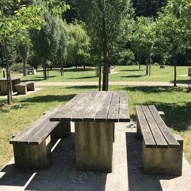 Zuhaitz landaketa