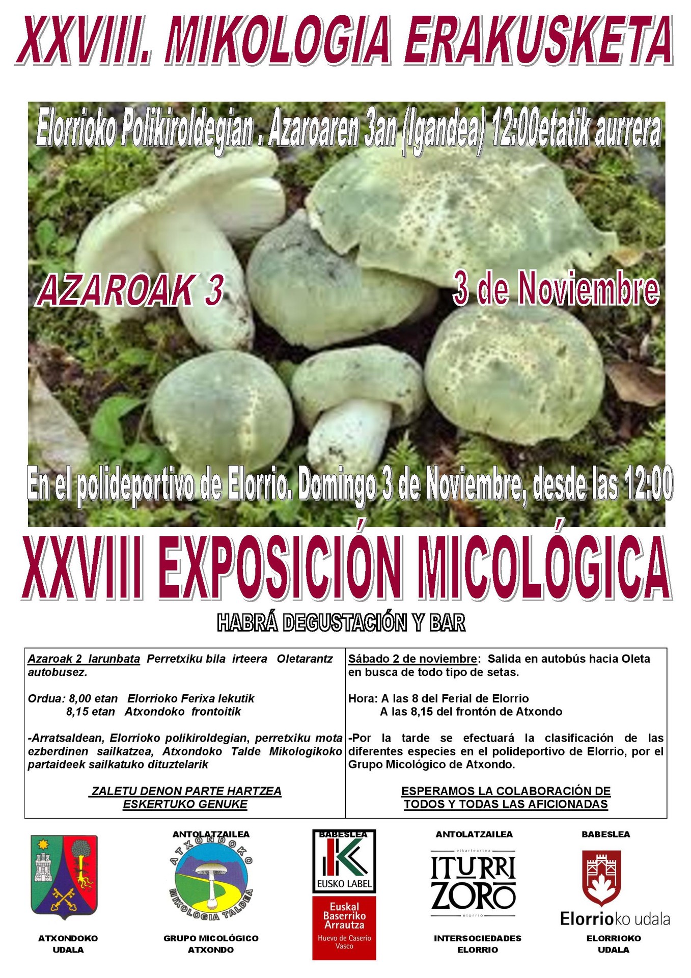 Mikologia erakusketa