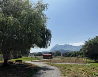 Gaur zabaldu da Abadiñoko ortu publikoetan libre geratu diren eremuak ustiatzeko izena emateko epea