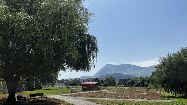 Gaur zabaldu da Abadiñoko ortu publikoetan libre geratu diren eremuak ustiatzeko izena emateko epea