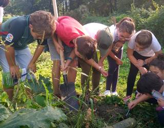Ekolurraren 'Lurzorua' hezkuntza programa, martxan