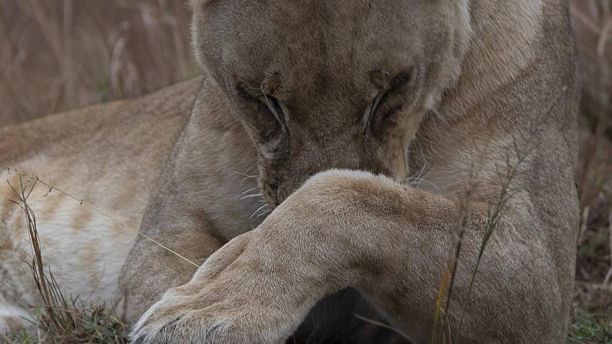 Jon Batiz argazkilari zornotzarraren Afrikako argazkiak ikusgai Zelaietan