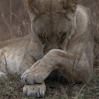 Jon Batiz argazkilari zornotzarraren Afrikako argazkiak ikusgai Zelaietan