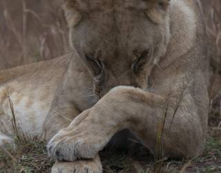 Jon Batiz argazkilari zornotzarraren Afrikako argazkiak ikusgai Zelaietan