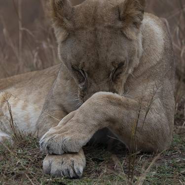 Jon Batiz argazkilari zornotzarraren Afrikako argazkiak ikusgai Zelaietan