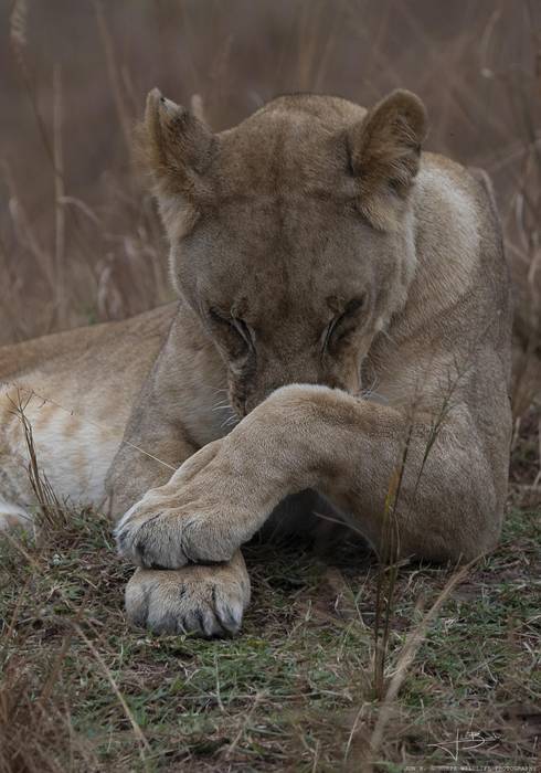 Jon Batiz argazkilari zornotzarraren Afrikako argazkiak ikusgai Zelaietan