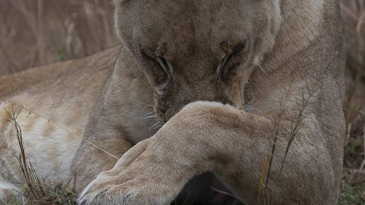 Jon Batiz argazkilari zornotzarraren Afrikako argazkiak ikusgai Zelaietan