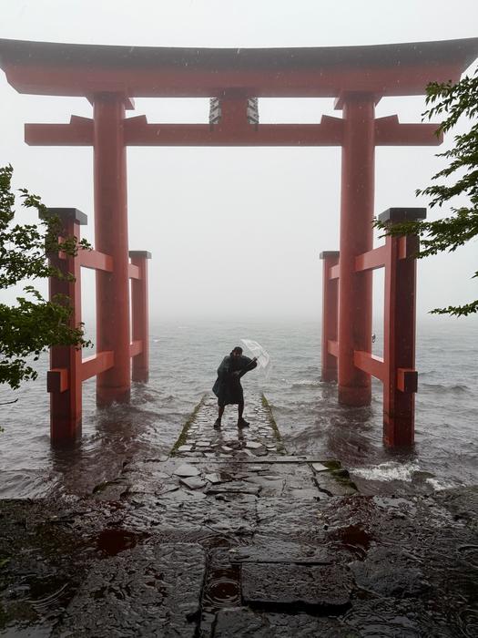 Torii