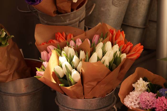Tulipanak