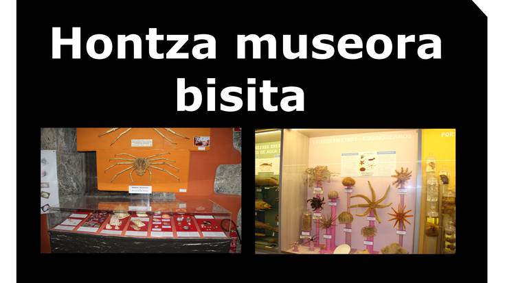 Hontza museora bisita