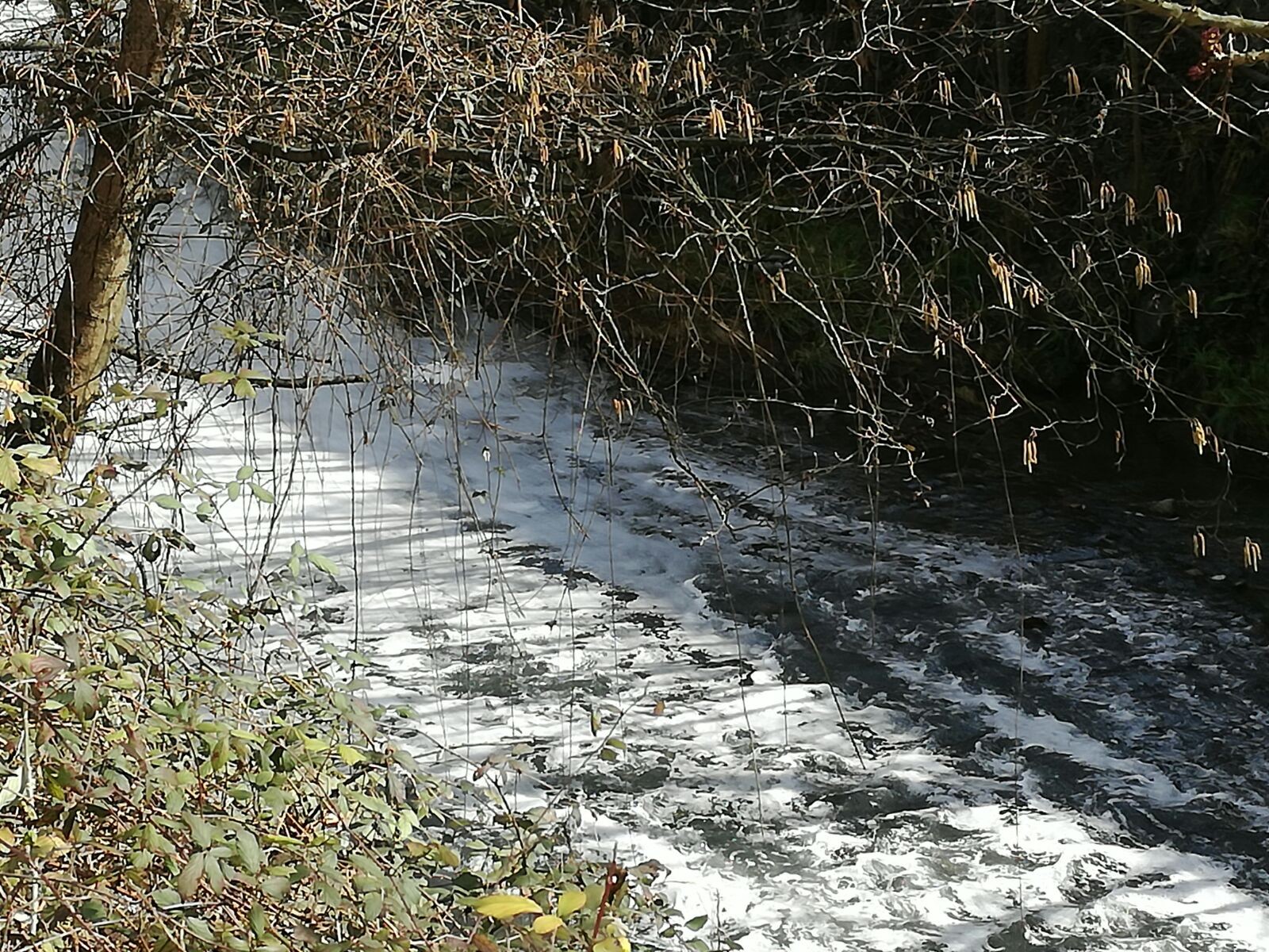 Elorrioko erreka bitsez beteta agertu da 