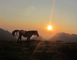 [ARGAZKI GALERIA]: ANBOTOko argazki lehiaketak baditu irabazleak