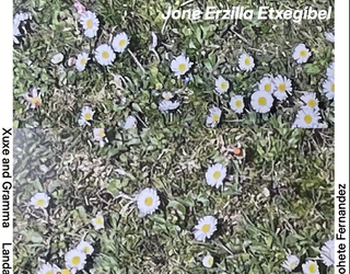 Jone Erzillak 'Yung Urkiolamendi' erakusketa jarriko du ikusgai Zaldibarko Xerran