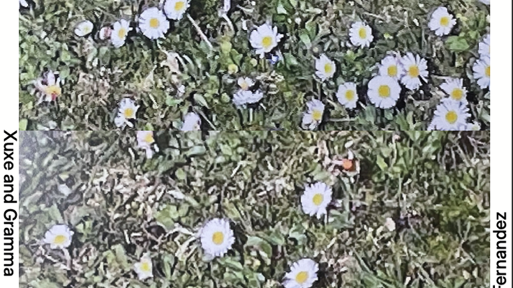 Jone Erzillak 'Yung Urkiolamendi' erakusketa jarriko du ikusgai Zaldibarko Xerran