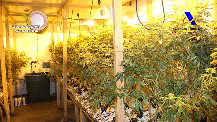 2.793 marihuana landareko haztegiaren jabeetako bat delakoan, gizon bat atxilotu dute Berrizen