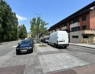 Zumar kaleko arbolak aldatuko dituzte Durangon