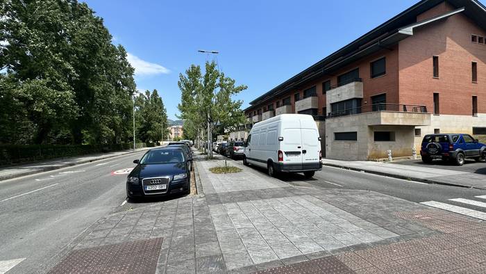 Zumar kaleko arbolak aldatuko dituzte Durangon