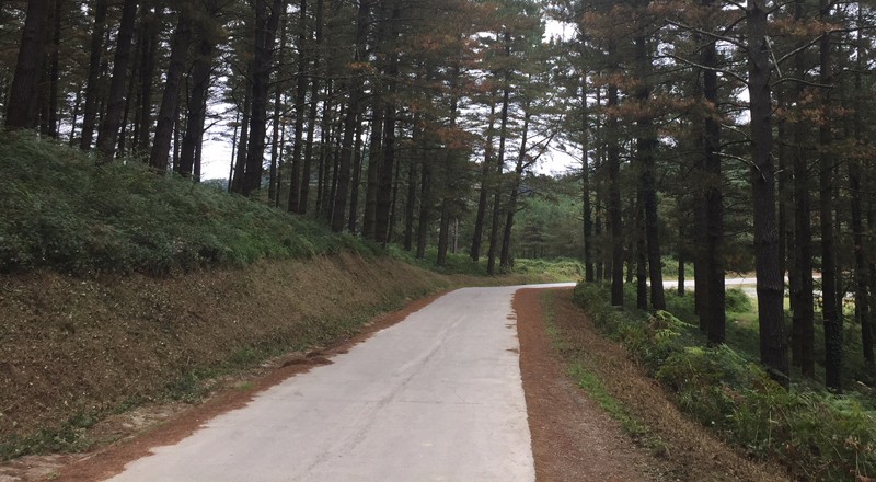 Zelan eragingo dio Oizko etapak trafikoari?
