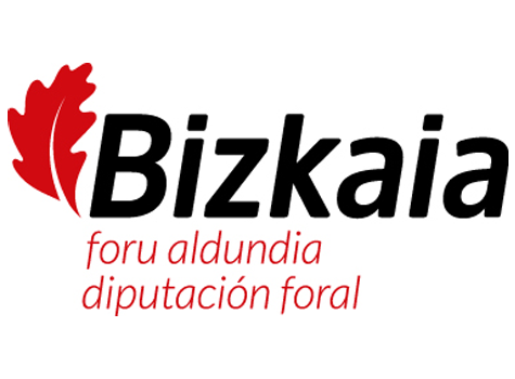 Bizkaiko foru aldundiaren logoa