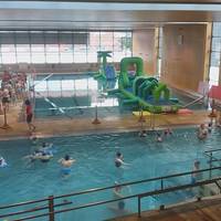 Uretako puzgarriak zapatu honetan Landakoko igerilekuetan