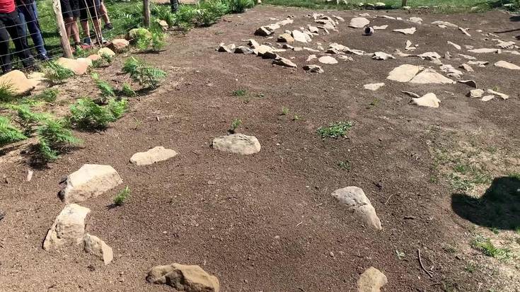 [BIDEOA] Oiz mendian Bizkaiko lehenengo cromlechak aurkitu dituzte, Burdin Aroko hilobi-monumentuak