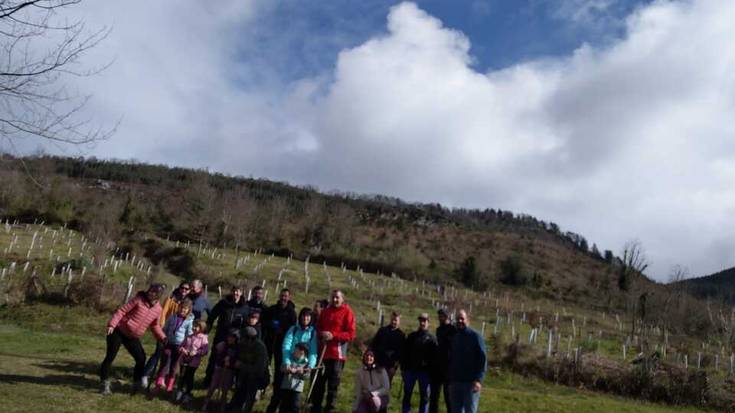 [ARGAZKI GALERIA]: Laixiarren egindako zuhaitz landaketa iruditan