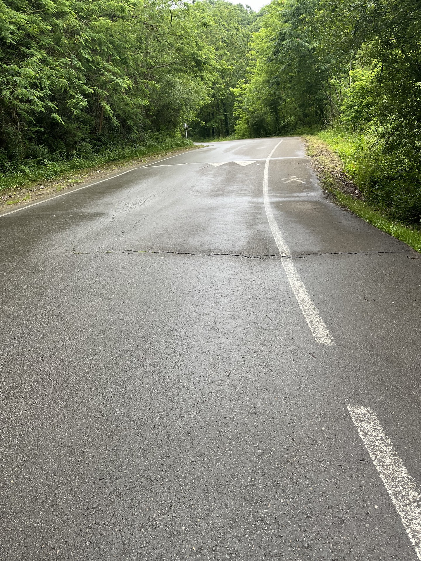 Larrinagatxuko bidea konpontzen hasiko dira gaur