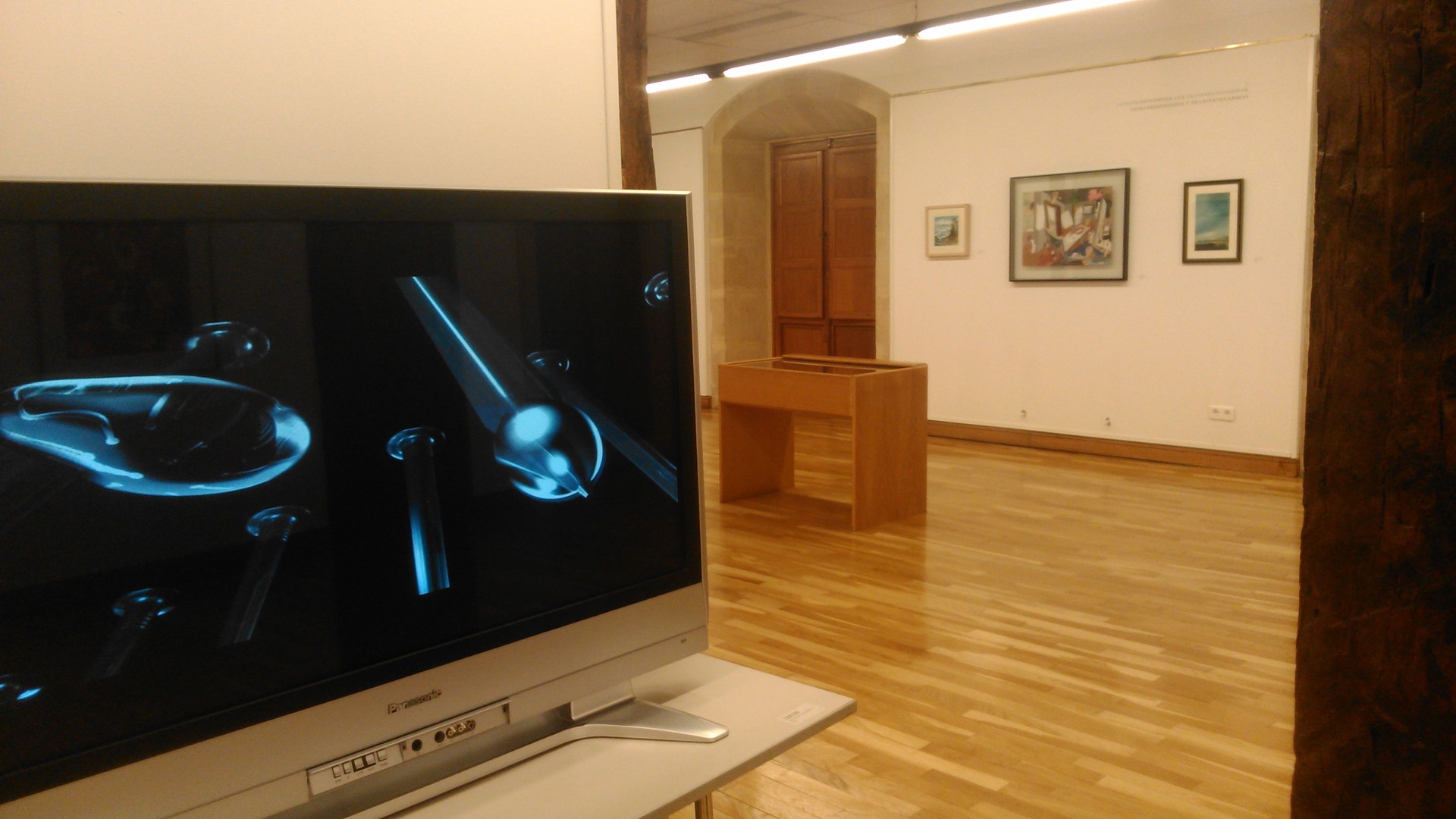 ‘Elecciones afectivas (expediente I/B)’ arte bilduma pribatua ikusgai