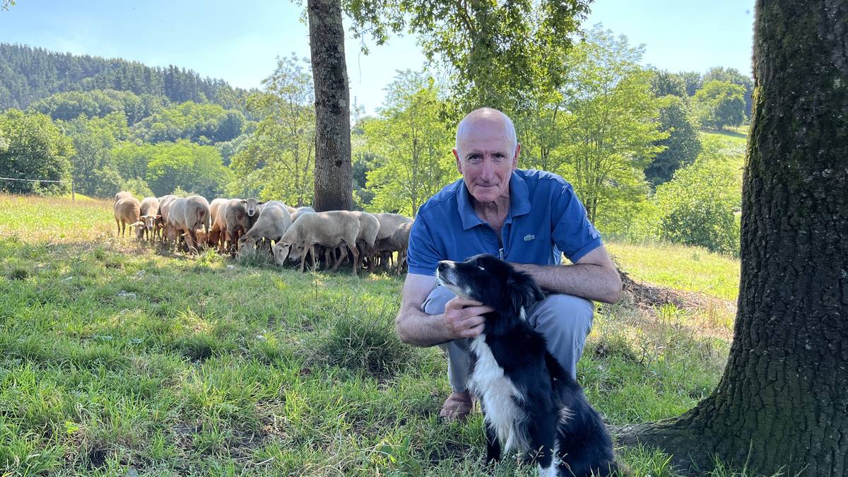"Txakurragaz gozatu egiten dut txapelketetan"