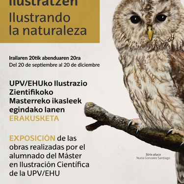 Natura ilustratzen