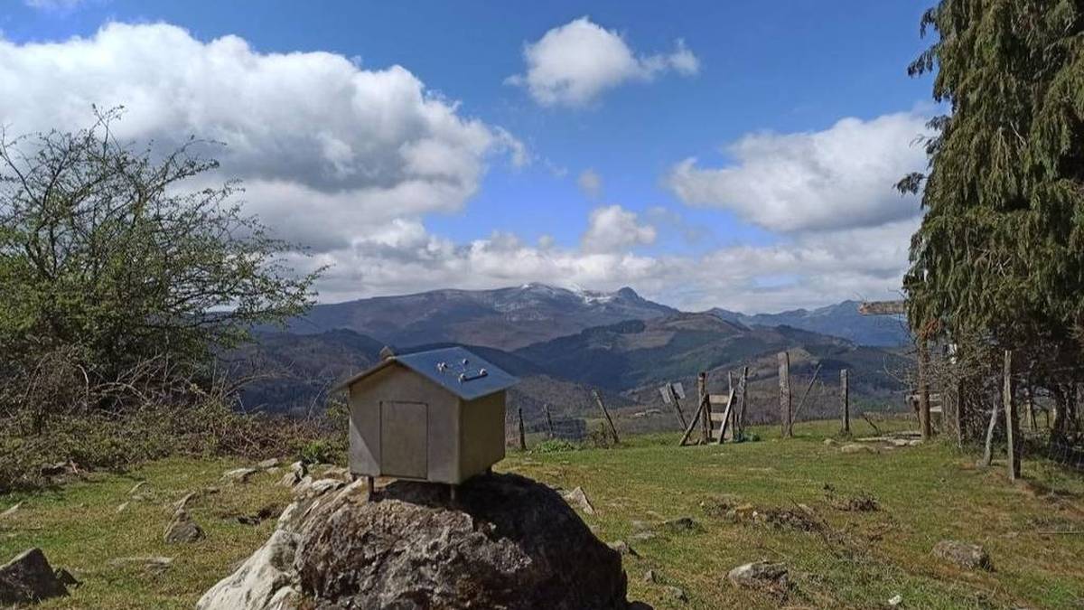 Kastillo parke eolikorako proiektuak ez du ingurumen-baimenik lortu