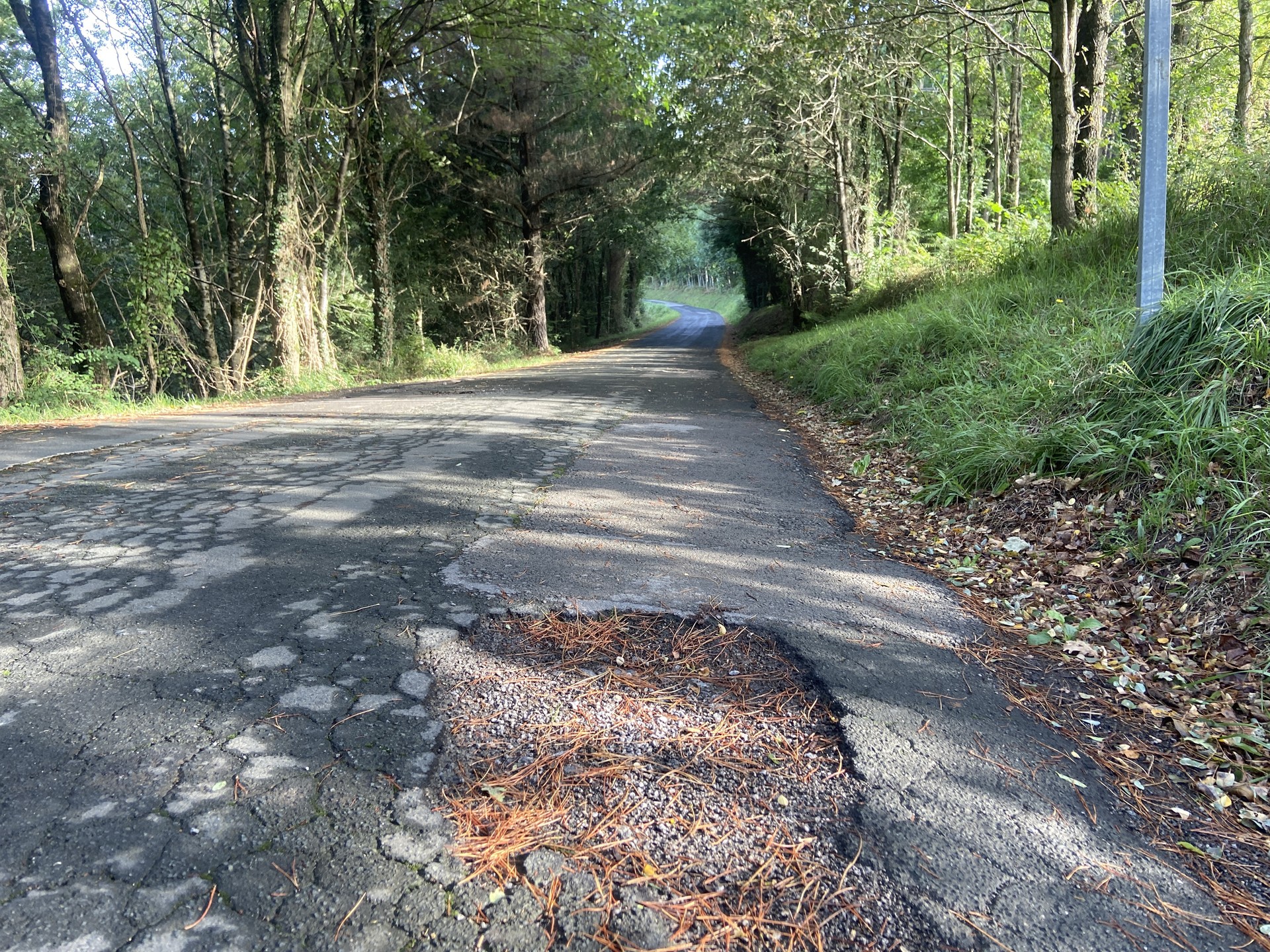 Aiartzarako bidea konpontzeko lanak lizitaziora atera dituzte