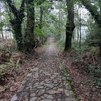 Mendi bazterrak garbitzeko deialdia