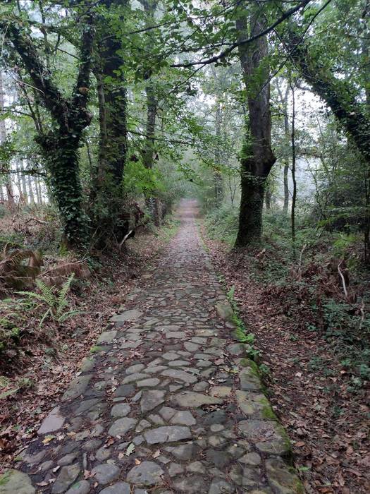 Mendi bazterrak garbitzeko deialdia