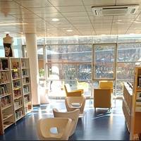 Giza liburutegia: Atzerritik Euskal Herrira, mailaz maila, bidea euskaraz