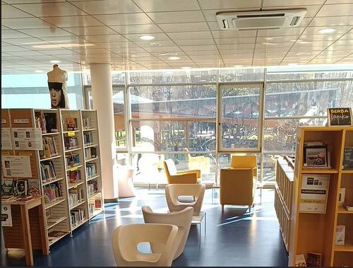 Giza liburutegia: Atzerritik Euskal Herrira, mailaz maila, bidea euskaraz