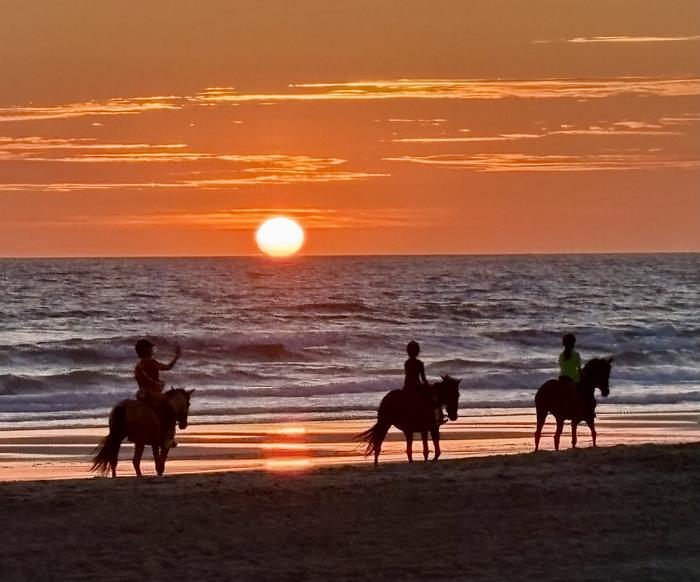 Suárez Gayá (Chiclana )